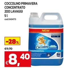 Coccolino -  Primavera Concentrato 200 Lavaggi