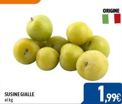 Origine - Sucine Gialle