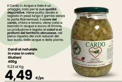 Giuliani - Cardia Di Naturale In Vasc In Vetro