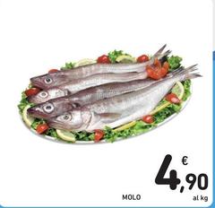 Molo