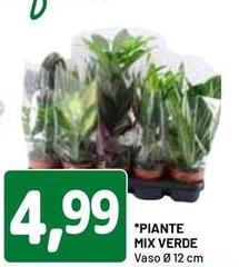 Piante Mix Verde