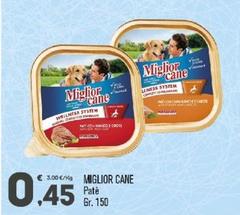 Morando - Miglior Cane