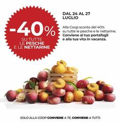 Pesche E Nettarine