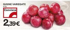 Susine