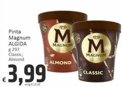 Algida - Pinta Magnum
