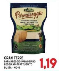 Gran Terre - Parmareggio Parmigiano Reggiano Grattugiato Busta
