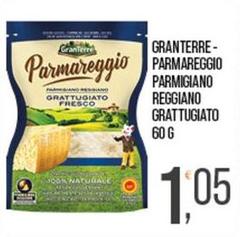 Gran Terre - Parmareggio Parmigiano Reggiano Grattugiato