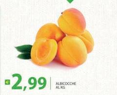 Albicocche