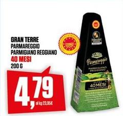 Gran Terre - Parmareggio Parmigiano Reggiano 40 Mesi