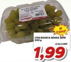 Semi - Uva Bianca Senza