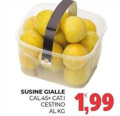 Sucine Gialle