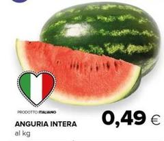 Anguria Intera