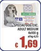 Special Dog -  Exc. Adult Medium