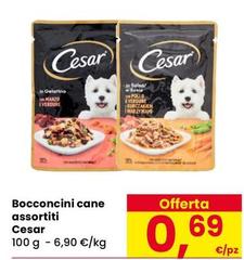 Cesar - Bocconcini Cane Assortiti