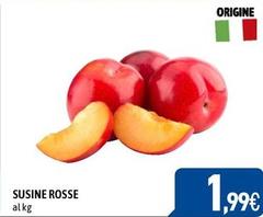 Origine - Susine Rosse
