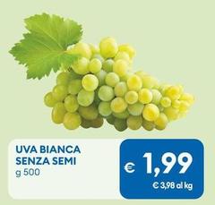 Uva Bianca Senza Semi