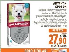 Solo - Advantex Spot On