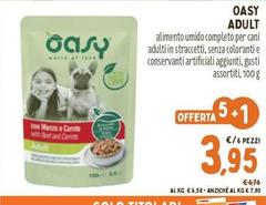 Oasy - Adult