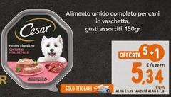 Cesar - Alimento Umido Completo Per Cani In Vaschetta