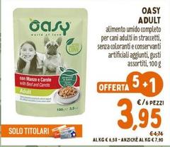 Das - Adult