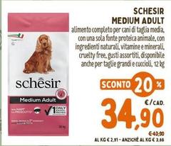 Schesir - Medium Adult