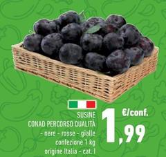 Conad - Percorso Qualità Susine