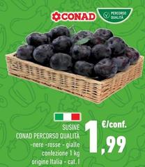 Conad - Percorso Qualità Susine