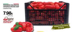 Origine - Pomodoro Oblinicoda Conserva