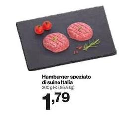 Hamburger Speziato Di Suino Italia