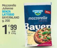 Bayernland - Mozzarella Julienne Senza Lattosio