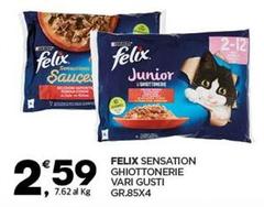 Purina - Felix Sensation Ghiottonerie