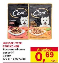 Cesar - Bocconcini Cane Assortiti