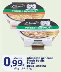 Cesar - Alimento Per Cani Fresh Bowls Polllo, Anatra