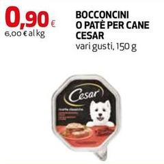 Cesar - Bocconcini O Pate Per Cane