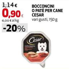 Cesar - Bocconcini O Pate Per Cane