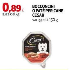 Cesar - Bocconcini O Pate Per Cane