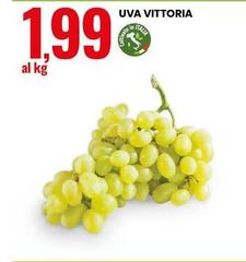 Vittoria - Uva