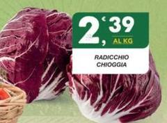Radicchio Chioggia