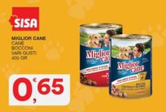 Morando - Miglior Cane Bocconi