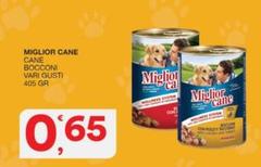 Morando - Miglior Cane Bocconi