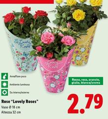Rose ''Lovely Roses''