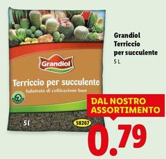 Grandiol - Terriccio Per Succulente