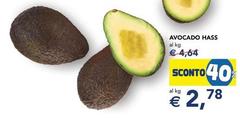 Avocado Hass