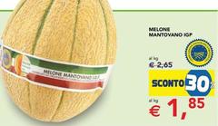 LG - Melone Mantovano IGP