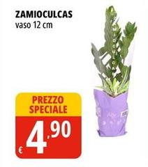 Vaso 12 Cm