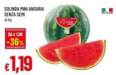 Semi - Mini Anguria Senza
