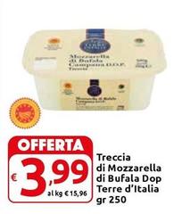 Terre d'Italia - Treccia Di Mozzarella Di Bufala DOP