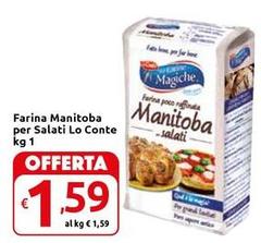 Lo conte - Farina Manitoba Per Salati