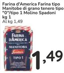 Molino spadoni - Farina D'America Farina Tipo Manitobe Di Grano Tenero Tipo 
