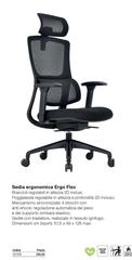 Sedia Ergonomica Ergo Flex 